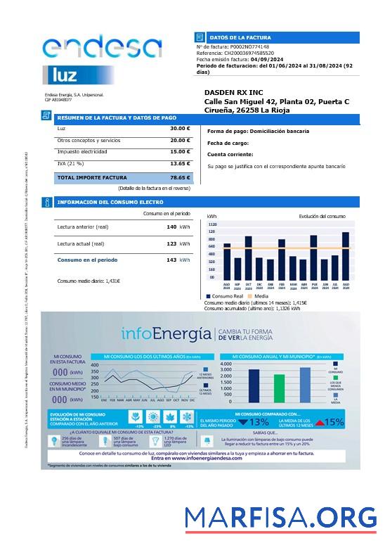 Printable Spain Endesa luz business utility bill template in Word and PDF formats